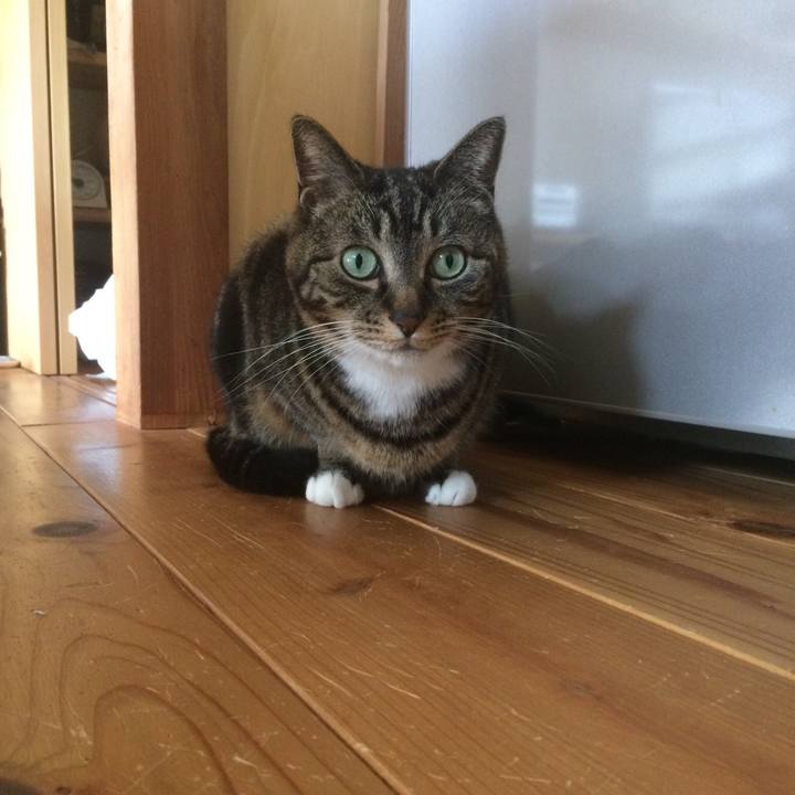 A0cb0bff 9d5b 4c09 a410 001d706da03a