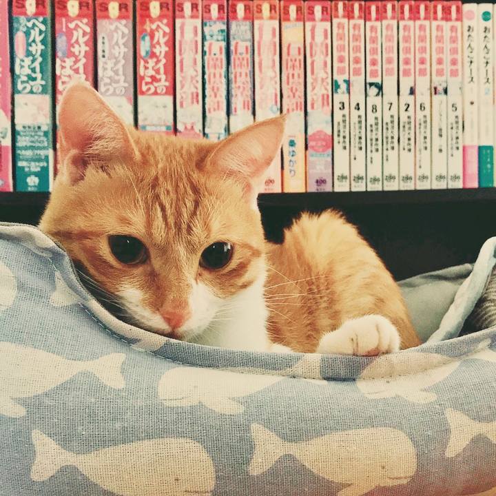 A0cbf140 da1d 4765 8be0 65d8857c44ae