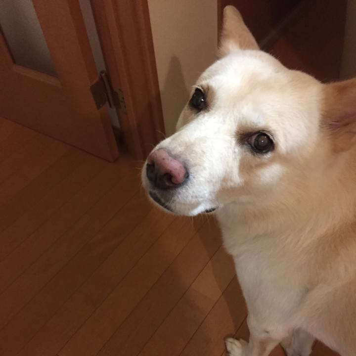 A0cc0d41 40e9 46da 8d1e abb6c3f8b242