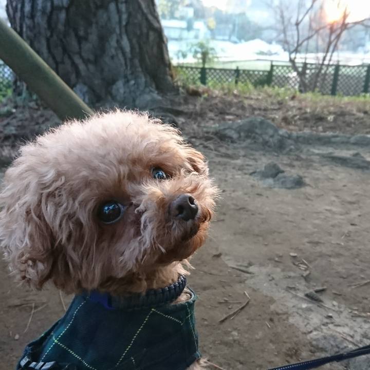 A0ccb817 54b3 4ab8 bd3d a5e0d4a32868