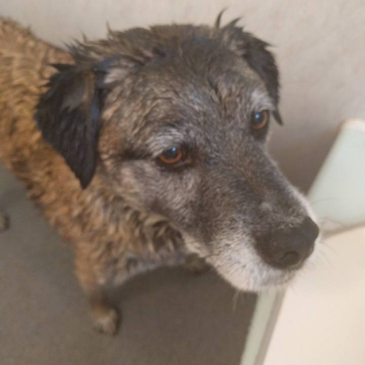 A0ccee46 a55d 4f05 a74a f8e20d10f5bd