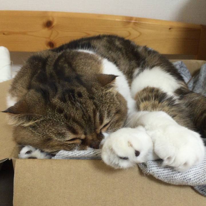 A0cd7504 2399 41a2 aa59 1ff3cd07e97c