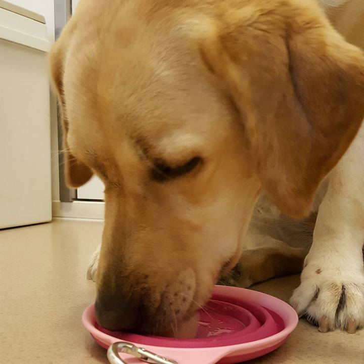 A0cdf6c3 72cd 4472 87bd b9d09b41a04e