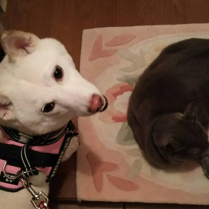 A0cdfca7 4165 419d af4a ac356df3aa00