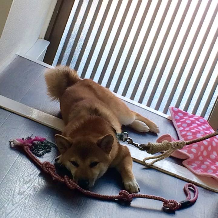 A0ce72b6 c4a9 4317 9bc7 87356890aa78