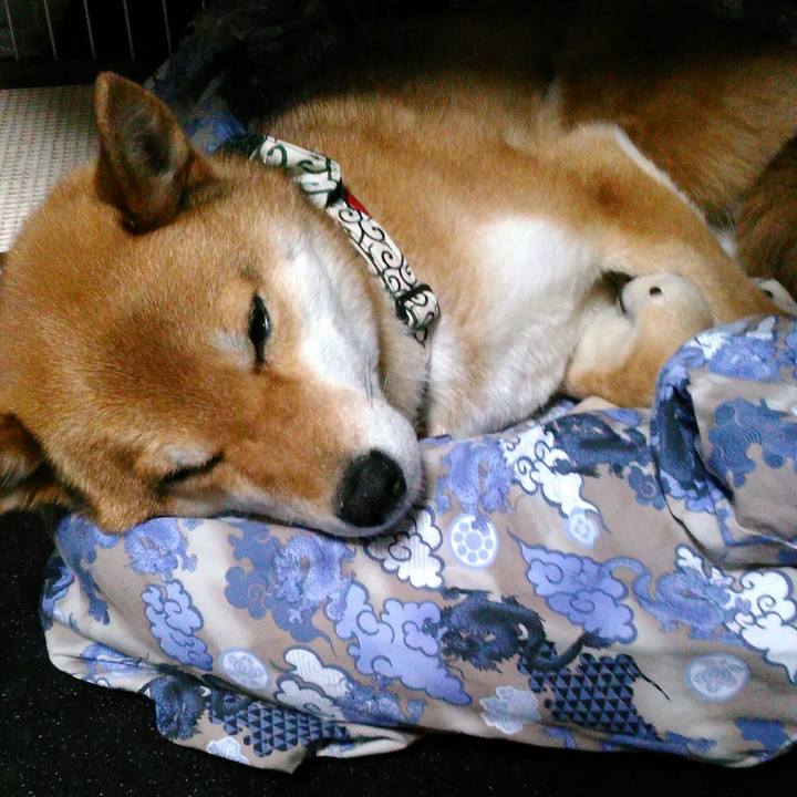 A0d0b896 e90c 497f 8e20 08ffc0523fd8