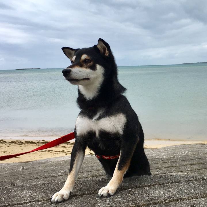 A0d203a9 2e28 42d0 b1ac b59156544923