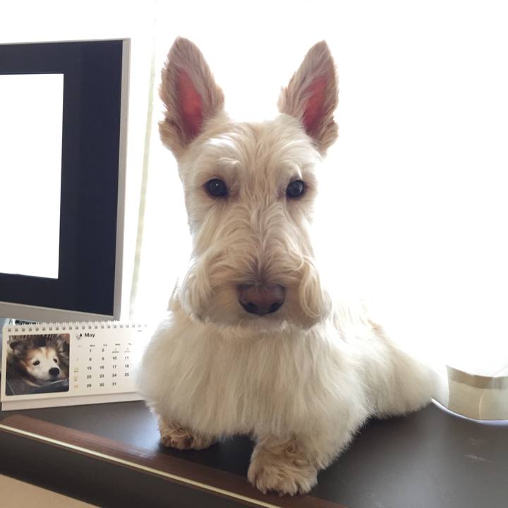 A0d212c9 f2ae 4553 8881 922799be1165