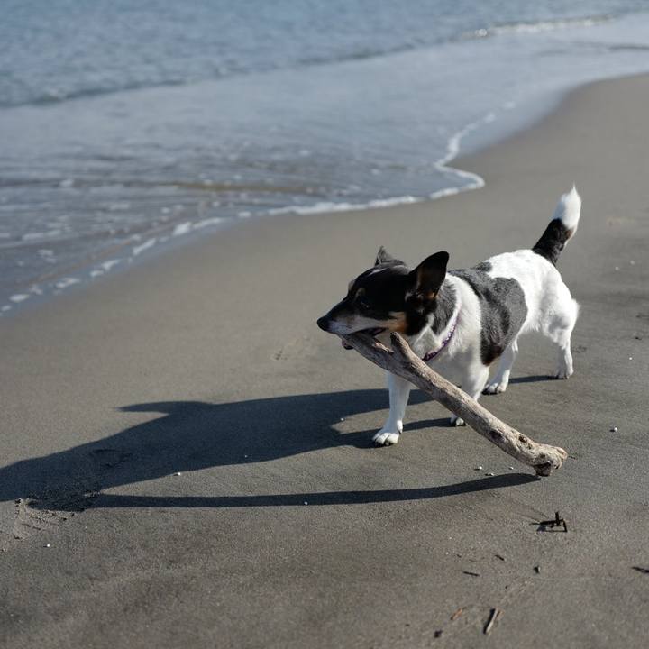 A0d2925b 83f4 4b1b a856 200331d89ec5