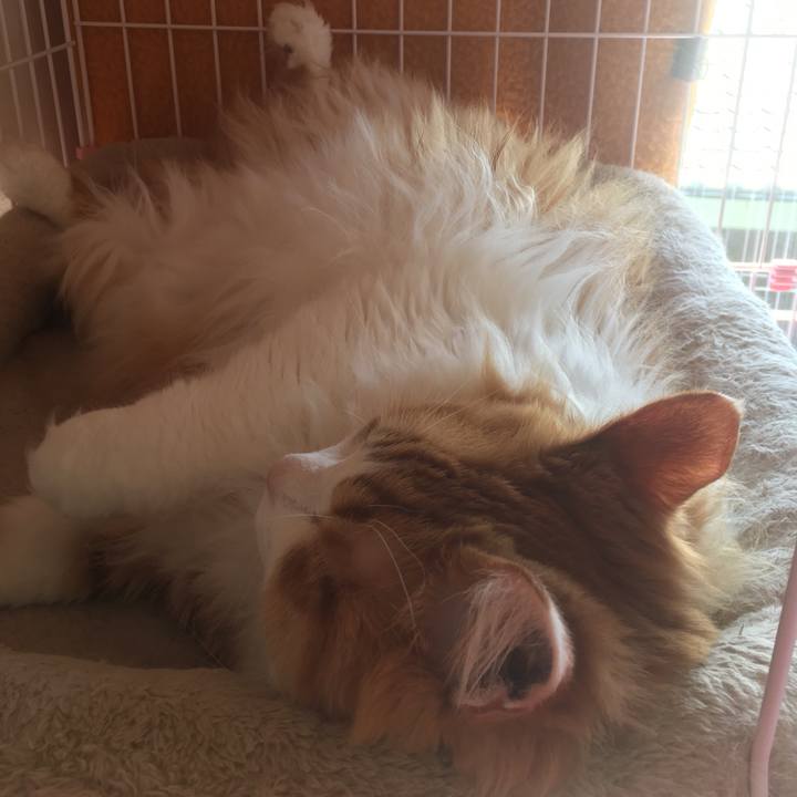 A0d2aa44 e821 4b2f b1c0 b99608012eb0