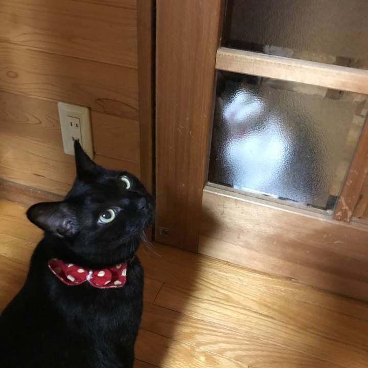 A0d2f608 0cdf 458d a871 e53acc1bcbf2