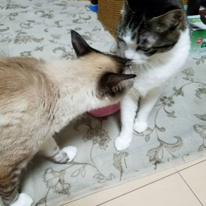 A0d33a5a 2d09 481d bae2 305d40b33ba2