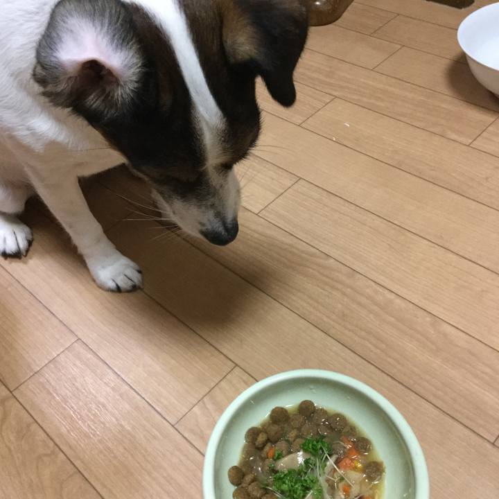 A0d39040 489d 434a 9dce 932bc4b7a34f