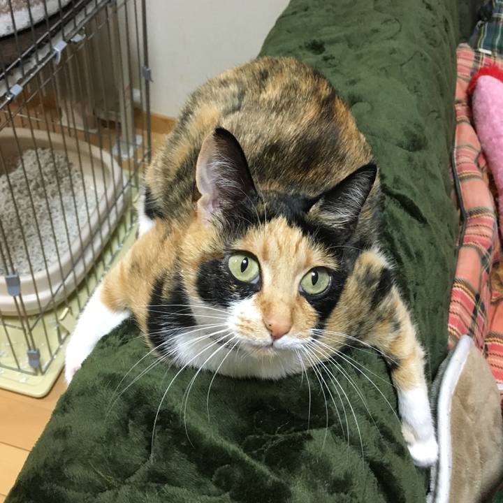 A0d3f963 8e7c 48c8 81d0 3c7ee1fec8fc