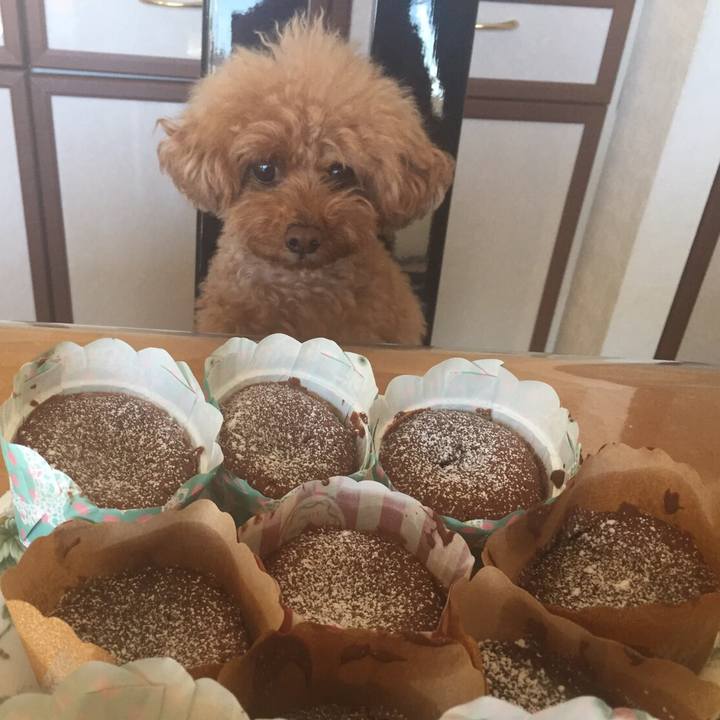 A0d4dc1f 48a0 4b07 8a54 01539ea55309