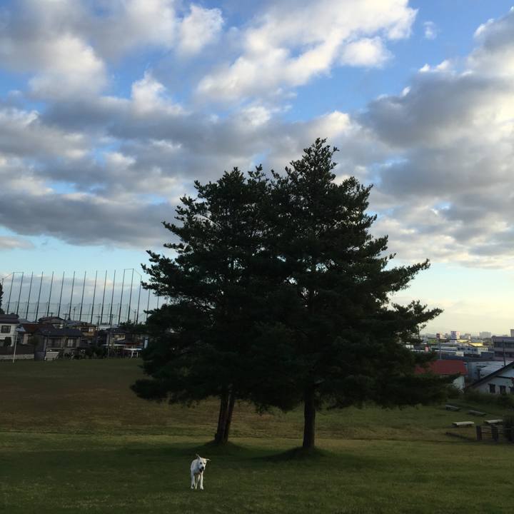 A0d4e5ca c475 441f 8a50 d417ca1309d6