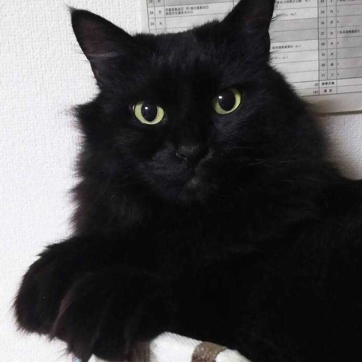 A0d5739d 2b0e 4519 8eea ab5c1279b3cf