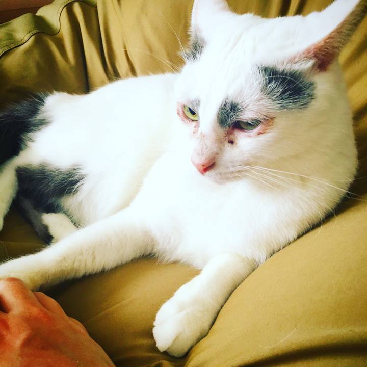 A0d61bc5 4ae8 429f 8f78 2311ddcd4c15