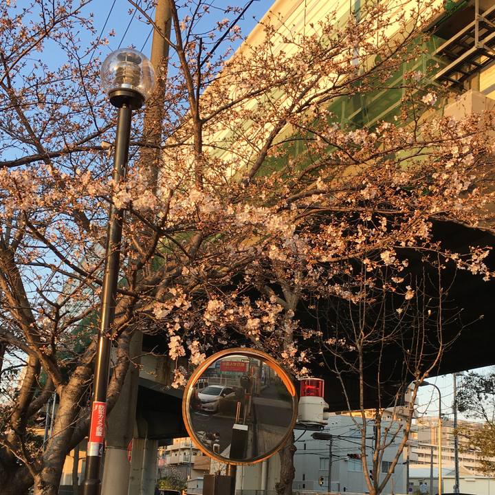 A0d7400f 054e 460f 9894 32f7ddf42d49