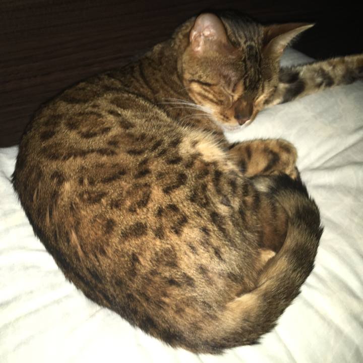 A0d83358 449d 476a be41 c5cceedb8412