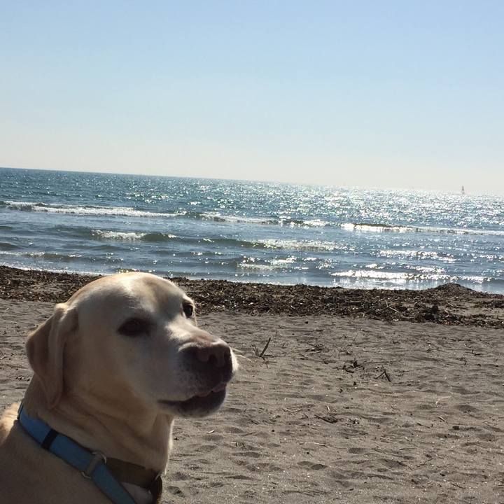 A0d904e0 a3b0 4554 aab9 65741940bf09