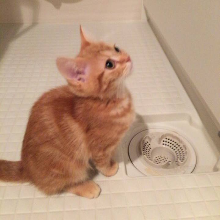 A0d95580 6014 41e6 8b21 d78ea6f1ebf2