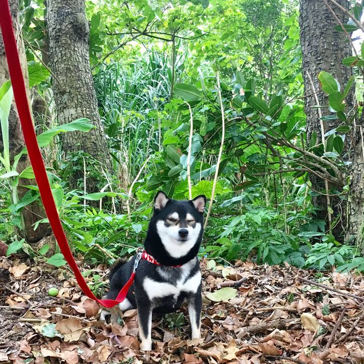 A0d96a9f fab8 4b7c 805a 0bbb34eea701