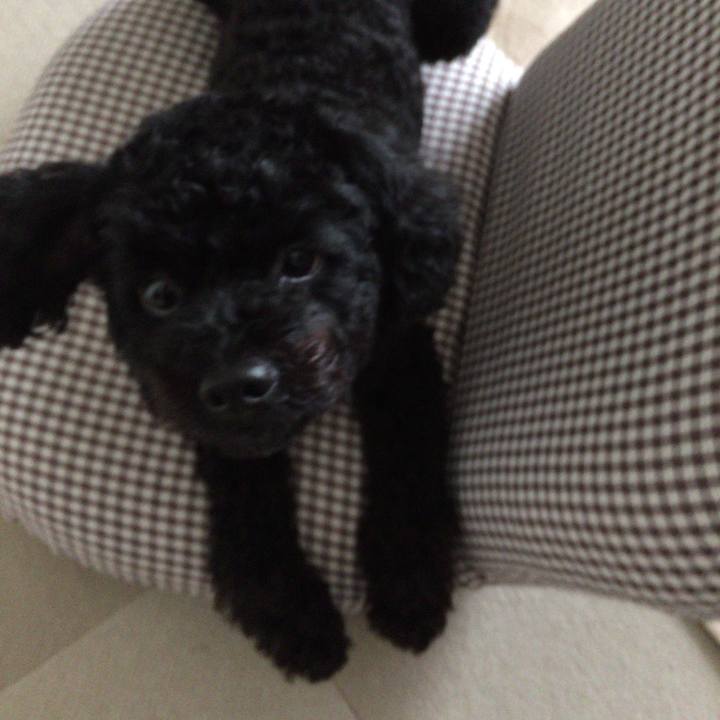 A0d9b6d4 01b1 49da b393 208902831259