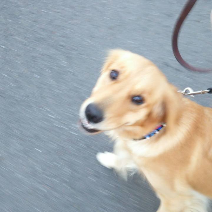 A0da4eae 0623 4a13 a7fd 8efd144e1ad5