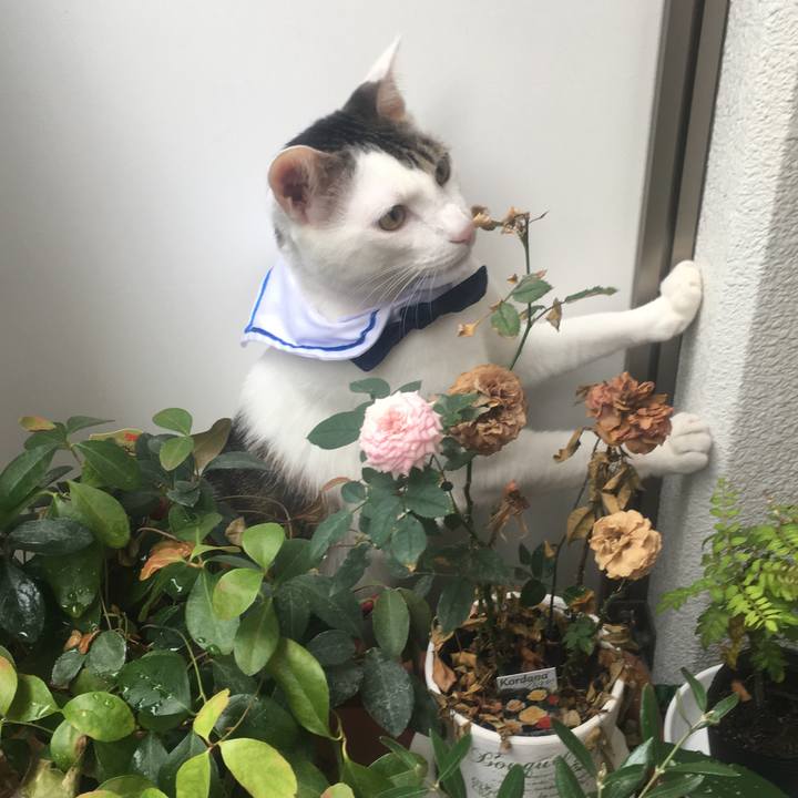 A0da7e6d 1e65 41fc aef1 c231bc53a86c