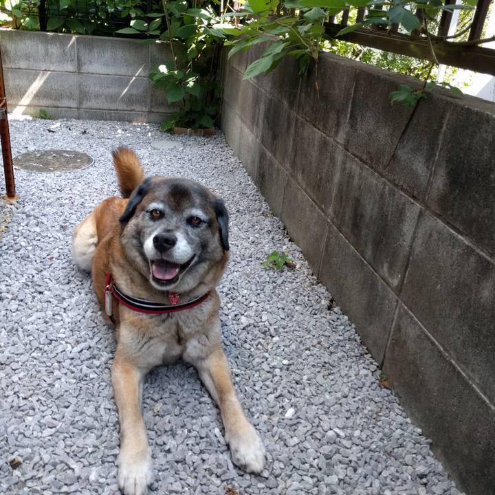 A0daa864 8052 4b3a 848e 802743ca0edf