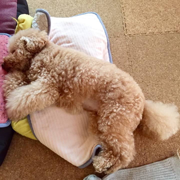 A0daf1c6 9e4c 4c06 a216 915369114e14