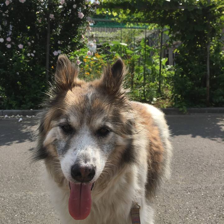 A0db079f 4764 40af a2ee 612c0ca37f9d