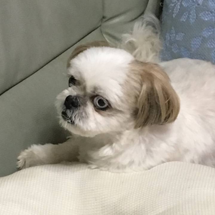 A0db3028 ffdb 405c 9e4f e7c58bb0afe4