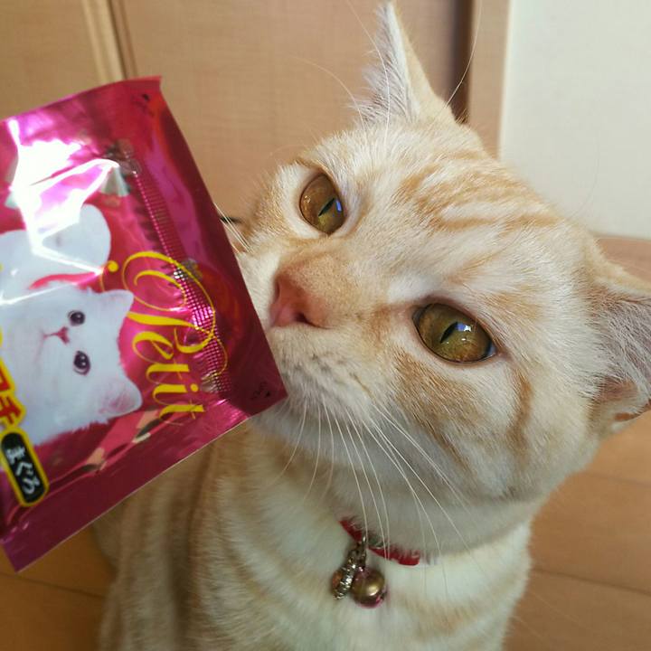 A0db44ba 92e2 40d3 8831 62637f43dd9d