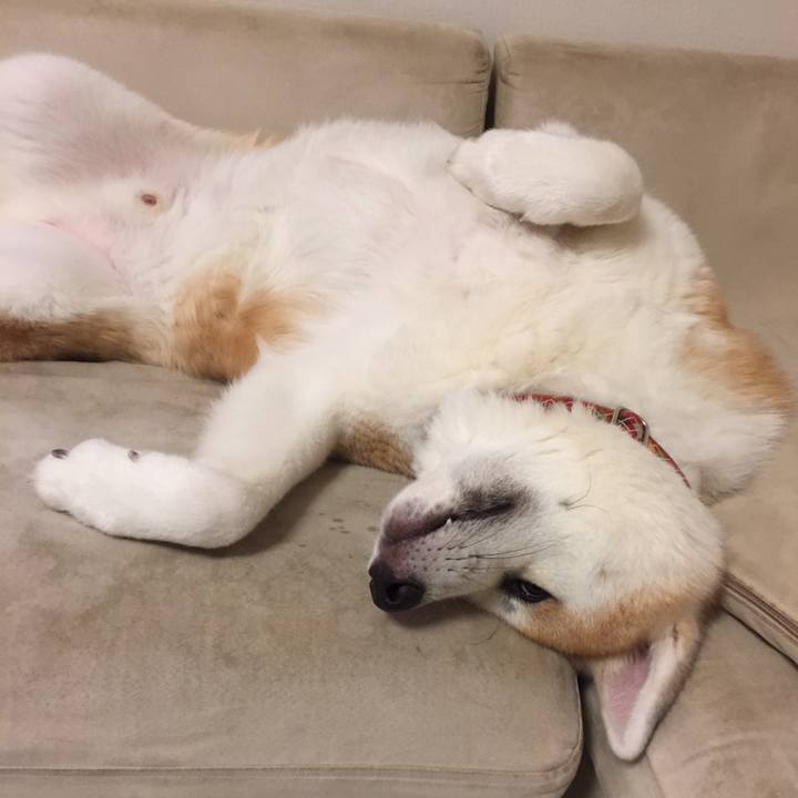 A0db8883 c405 40f1 a9e0 90982a3ec1b9