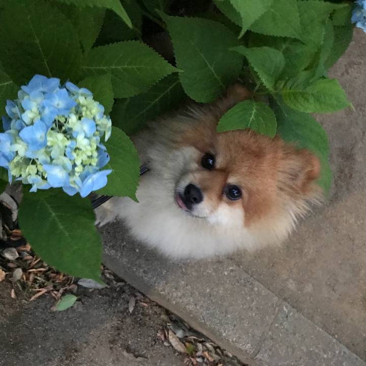 A0dc1495 4068 4ac6 a7b6 be3475694b89