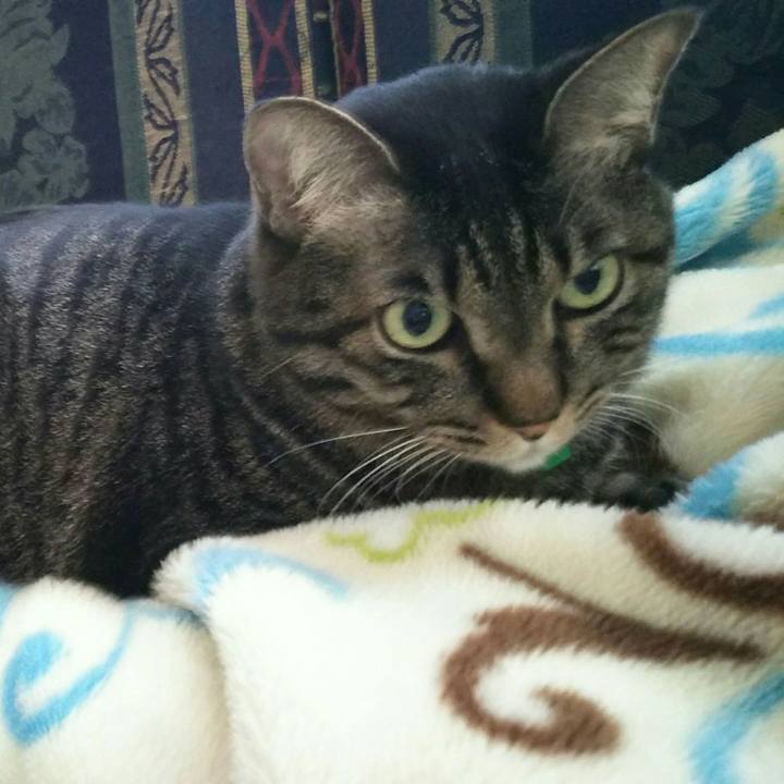 A0dc303d 13b7 4ed9 82f6 94a3b3fce8c9