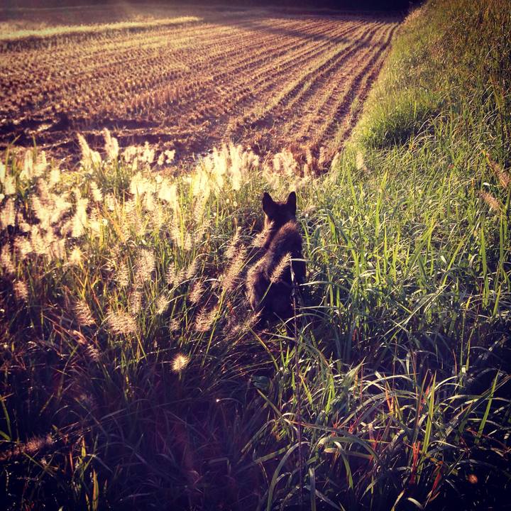 A0dd3273 bfc3 4403 b843 7e5054729ef1