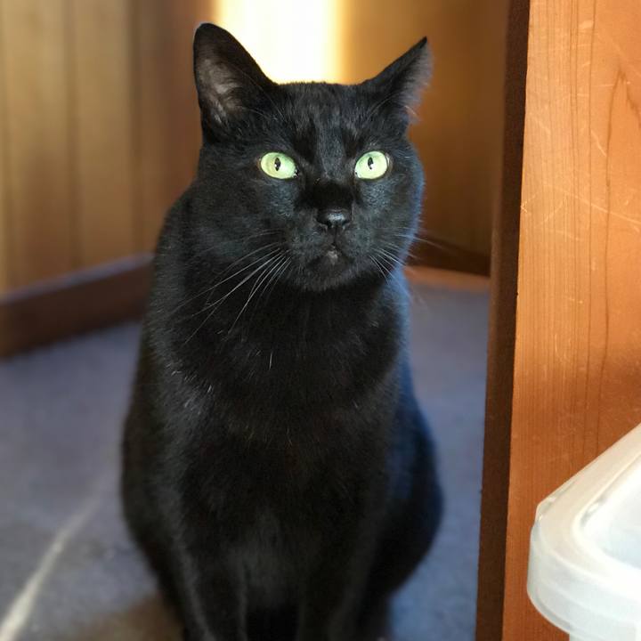 A0dde10f 2577 483a ab6b 70427441bef0