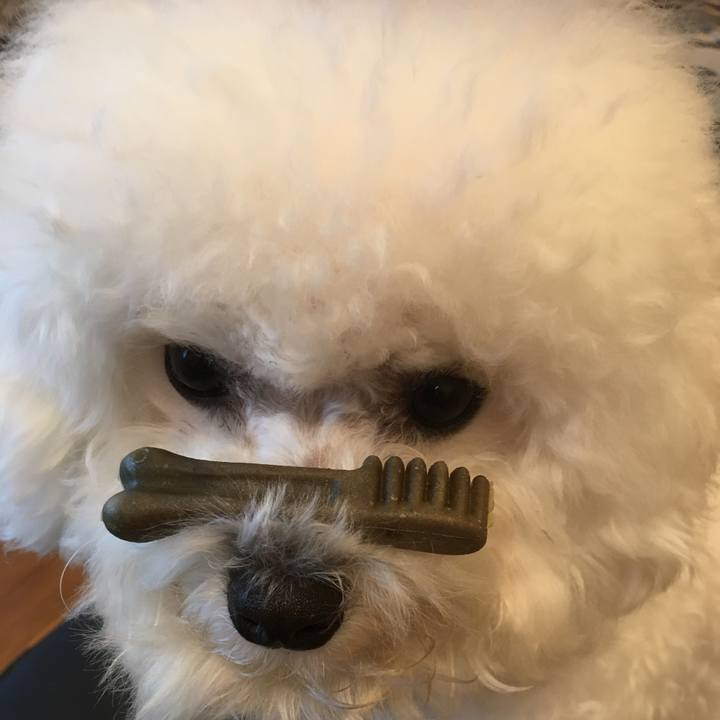 A0de401f 6179 4019 9e26 7f5e45cc7a83