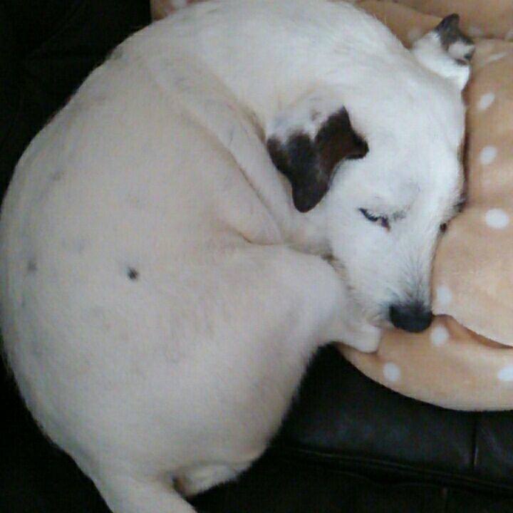 A0de95d0 3181 4d20 8474 79ed2ed6e664