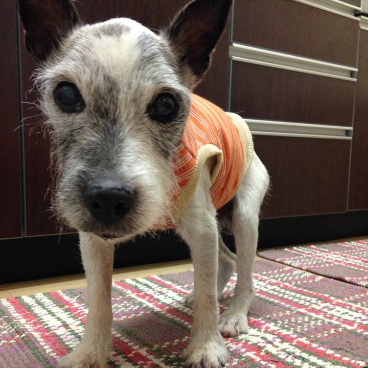 A0dea5b5 77fb 4c5b a66d 5633ec4075ae