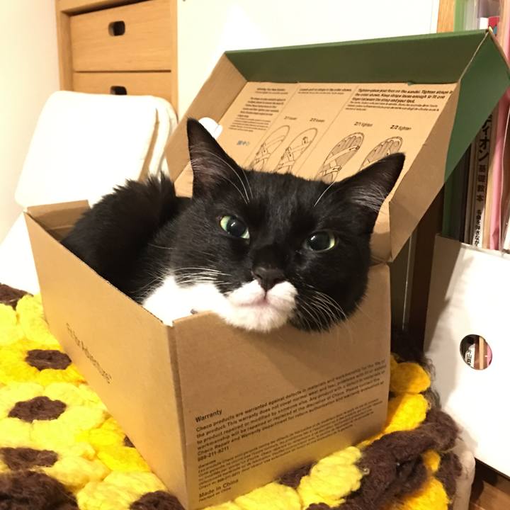 A0df27a5 c91d 4c8e a3d2 bc8c580a9242