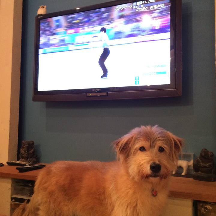 A0dfa9c5 805b 4524 a0e4 257245ce52f3