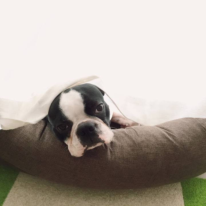 A0dfe4b9 8bfb 4bf5 8c98 afe386fad454