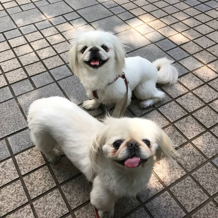 A0e074ca c448 472f b632 0a7781f60591