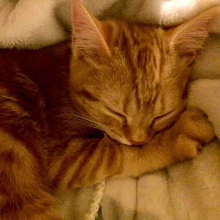 A0e0c7b4 d383 4a08 9118 3bde5bbd9a75