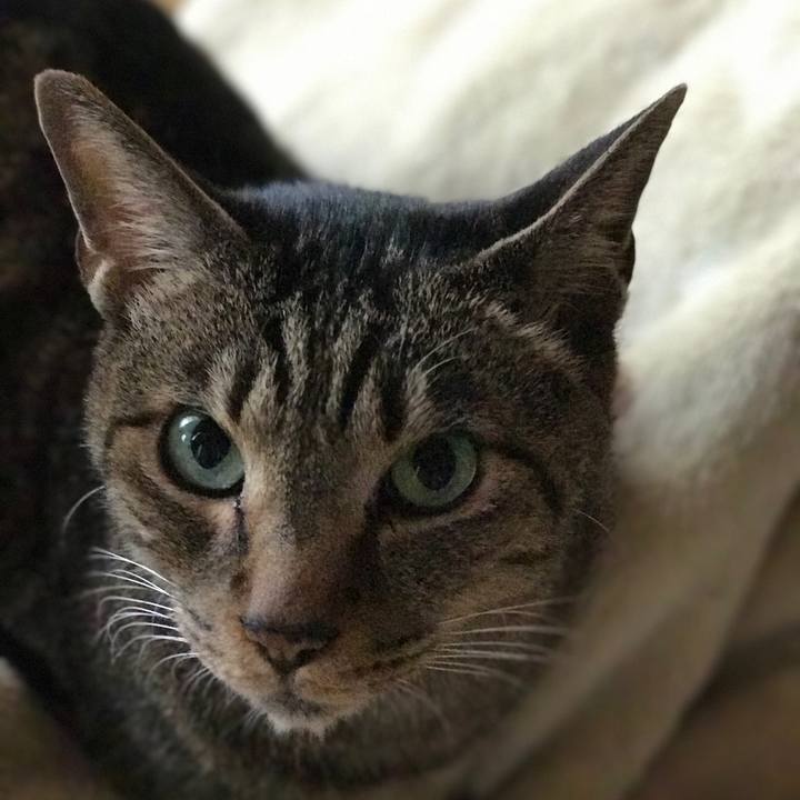 A0e0d258 e93f 40d7 8c25 ad2617e3a131