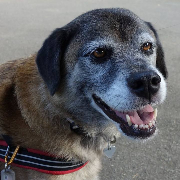 A0e101f2 d3c1 4bb6 b341 863130c9b598